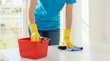Standard Cleaning